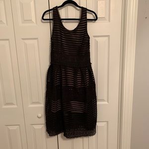NWT GIANNI BINI LACE DRESS
